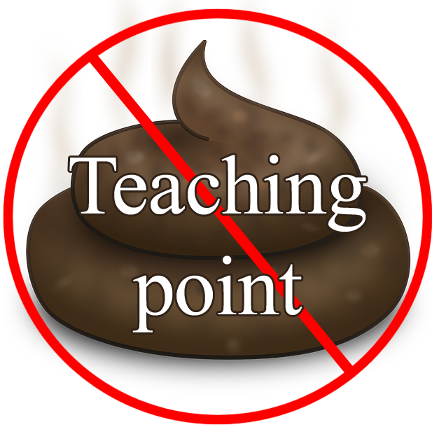 A turd with a red crossed-out circle over it and the caption "teaching point" - in other words, a crap teaching point
